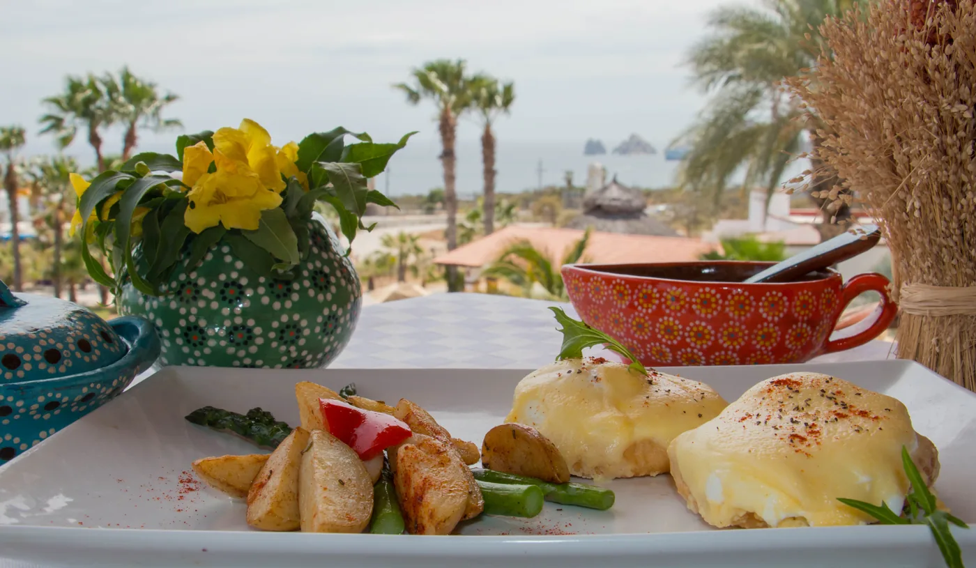 Cabo Gourmet Benedicts